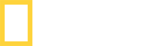 National Geographic live channel
